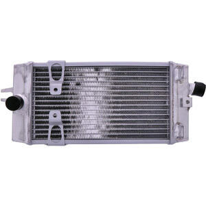 Motorkühler Triumph Bonneville \'17- wasser