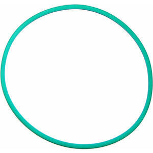 Fuel cap gasket Ducati Monster inner