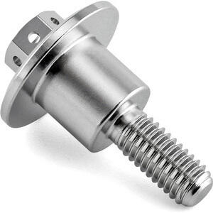 Bullone coperchio distribuzione per Triumph Pro Bolt inox grigio