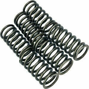 Clutch spring Ducati 40mm kit