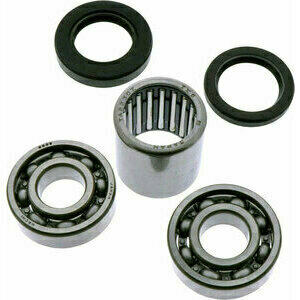 Rear swingarm service kit Tour Max SAO-102