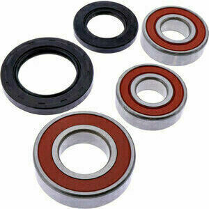 Kit de roulements de roue Tour Max WBK-153