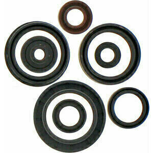 Motor Simmerring Satz Suzuki RM-Z 450 \'08- Athena