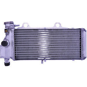 Radiatore motore per BMW F 650 \'00-\'08 acqua