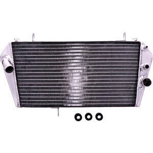 Engine cooler Aprilia Dorsoduro water