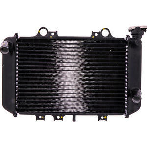 Radiateur moteur BMW G 310 eau