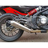 Finale di scarico per Benelli BN 302 E4 Mass Cafe Racer - Foto 2