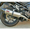 Exhaust muffler Kawasaki KLZ 1000 Versys E4 Mass Oval - Pictures 2
