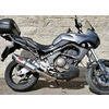Auspuff Schalldämpfer Kawasaki KLE 650 Versys E3 Mass Oval - Bilder 2
