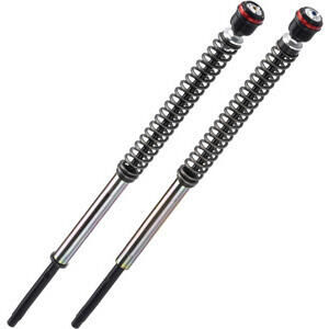Cartuccia forcella per Ducati Panigale 1100 V4 Bitubo JBH kit