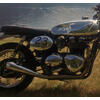 Système d'échappement Triumph Bonneville Mass Cafe Racer 2-1 - Photos 2