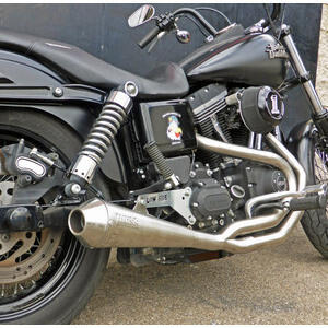 Exhaust system Harley-Davidson Dyna Street Bob 1690 Mass Cafe Racer 2-1
