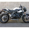 Exhaust muffler Triumph Speed Triple 1050 E4 Mass Prisma pair - Pictures 2