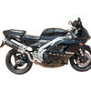 Exhaust muffler Triumph Daytona 955 i.e. Mass GP1 - Pictures 2