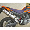 Auspuff Schalldämpfer Yamaha XT 660 Mass Oval paar
