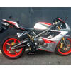 Silencieux d'échappement Triumph Daytona 675 Mass Oval
