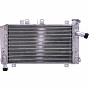 Radiatore motore per BMW S 1000 RR -\'18 acqua