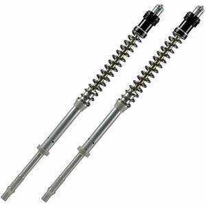 Cartuccia forcella per Triumph Tiger 800 E5+ Matris F20K kit
