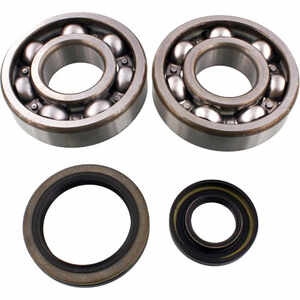 Lager Kurbelwelle Satz Suzuki RM 250 \'94-\'95 Tour Max
