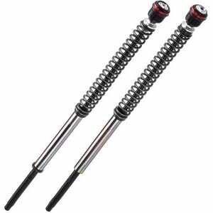 Cartuccia forcella per Royal Enfield Bear 650 Bitubo JBH kit