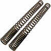 Molle forcella per Ducati MH 900 progressive Wirth coppia