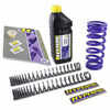 Kit upgrade sospensioni per Moto Guzzi 1200 Norge GT Hyperpro Combi - Foto 3