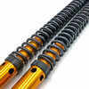Cartuccia forcella per CfMoto MT-X 1000 Andreani Rally Race kit - Foto 2