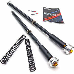 Cartuccia forcella per CfMoto MT 450 Andreani Misano EVO2 kit