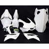 Kit carene completo per Yamaha YZF-R1 '15-'16 vetroresina
