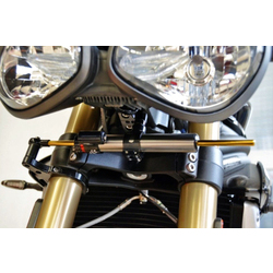 Hello! 
Is the mounting and parts identical on a Speed Triple 1050 2016 and the slightly updated Speed triple RS 2018?