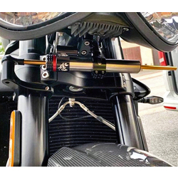 Okay I see the picture but I don\'t quite see where it\'s mounted in the center. I ask because I have a slightly modded headlight. Is the damper mounted to one of the two screws on the under side of the headlight that holds the headlight in place?