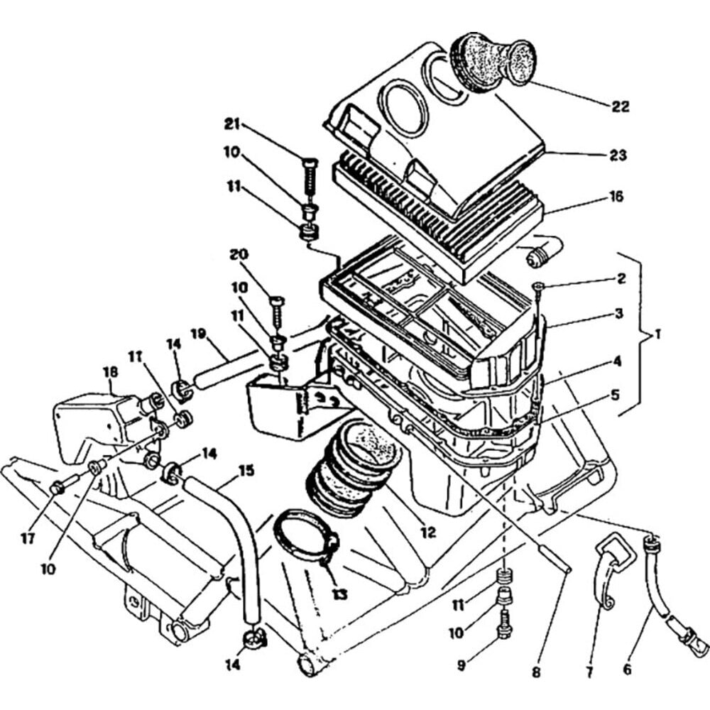 Ducati Monster 900 - Engine