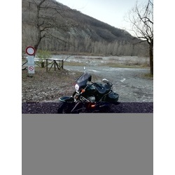 Foto Feedback