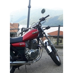 Foto Feedback