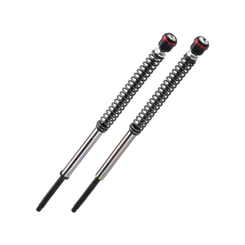 Cartuccia forcella per Yamaha XTZ 700 Tenerè Bitubo JBH kit
