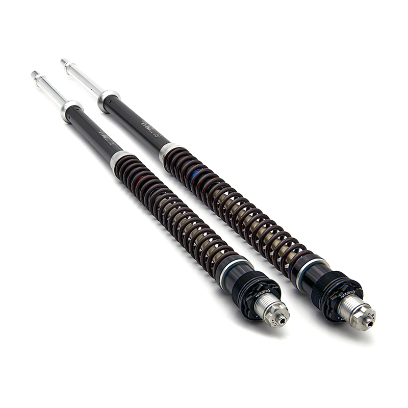 Gabelstoßdämpfern Yamaha FZ6 600 Matris F15K kit