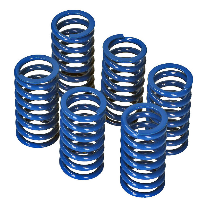 SD-Tec Kupplung Federn Ducati 40mm kit blau