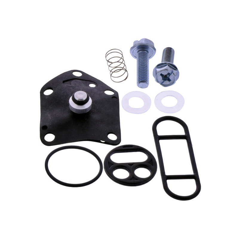 Benzinhahn Reparatursatz Tour Max FCK-21