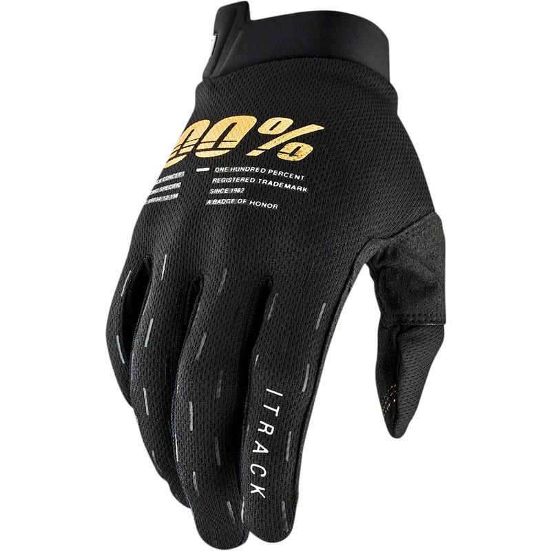 Motorcycle gloves 100% I-Track black