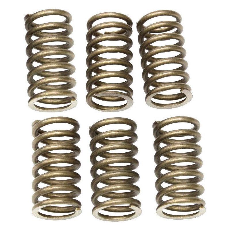 Kupplung Federn Ducati 40mm kit edelstahl