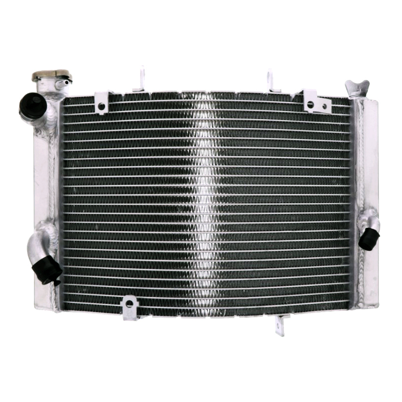 refrigerador motor triumph street triple 675 -12 agua