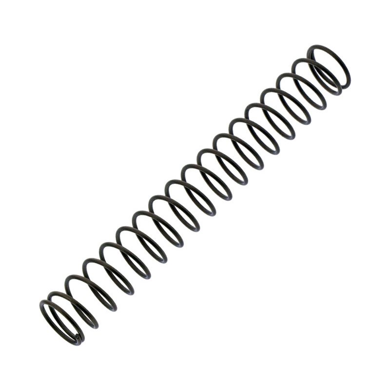Feder Steuerkettenspanner BMW R Boxer -'10 Haupt