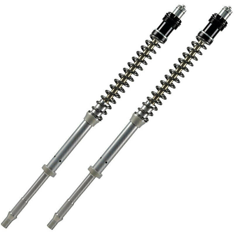 Cartuccia forcella per Benelli TRK 502 '21- Matris F20K kit